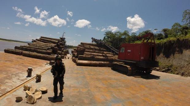 Depredan más de 20 mil pies tablares en Río Bajo Madre de Dios