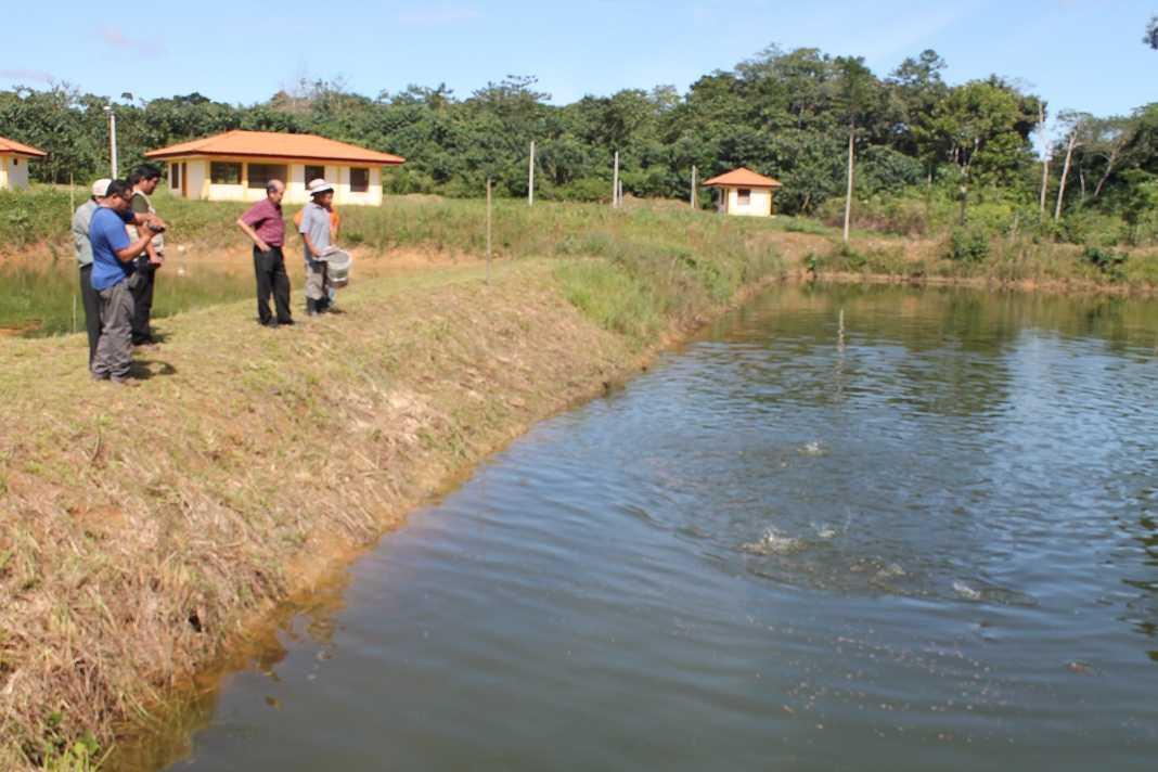 Alcalde de Tahuamanu aseguró que piscigranjas de Iñapari no están contaminadas