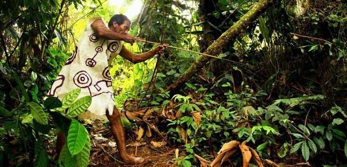 Imagen: eca-amarakaeri.org.pe