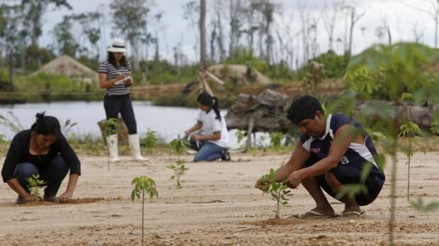 Imagen: Actualidadambiental.pe