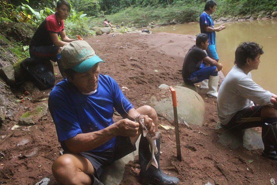 Imagen: Reserva Comunal Amarakaeri.
