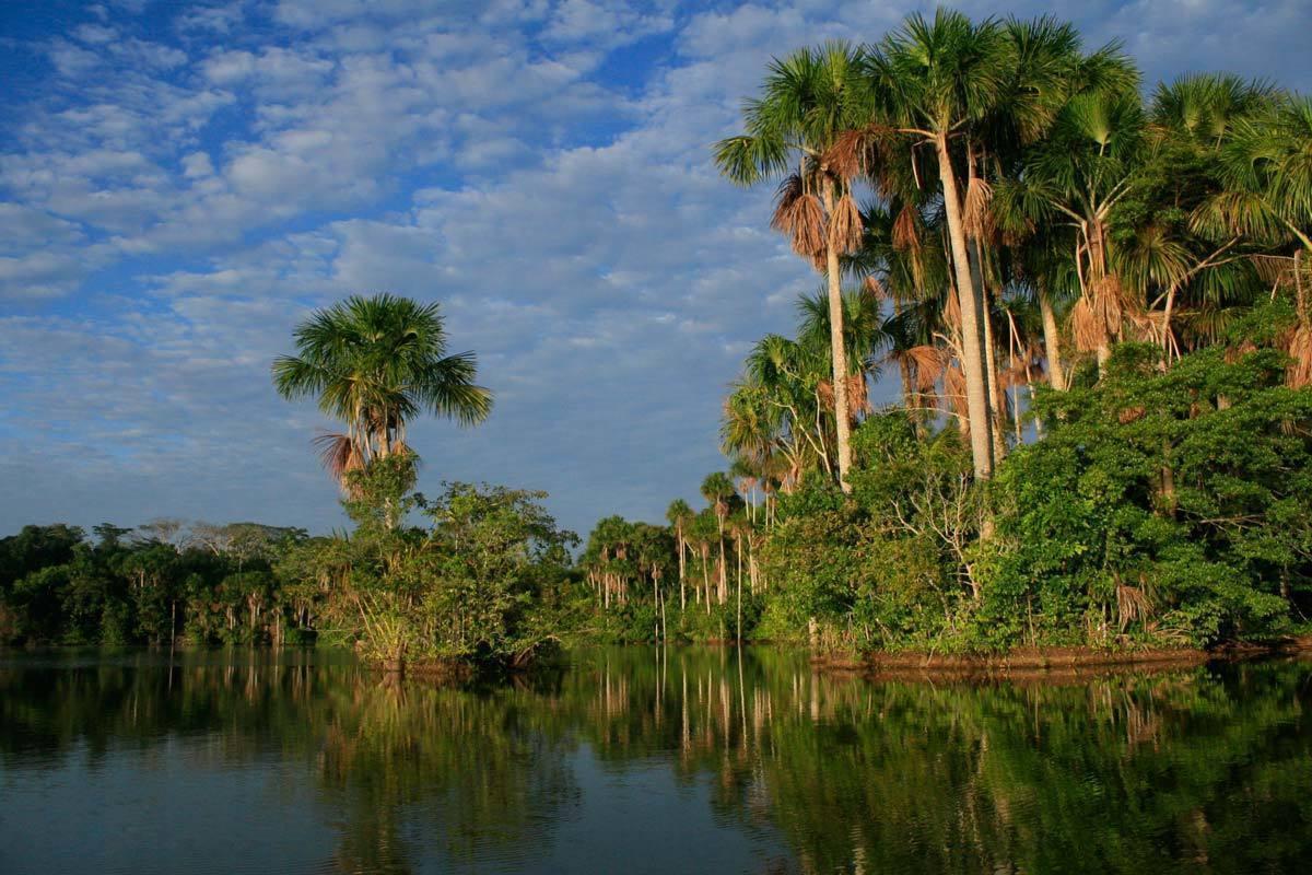Lago Sandoval. Imagen: Wasai.com.