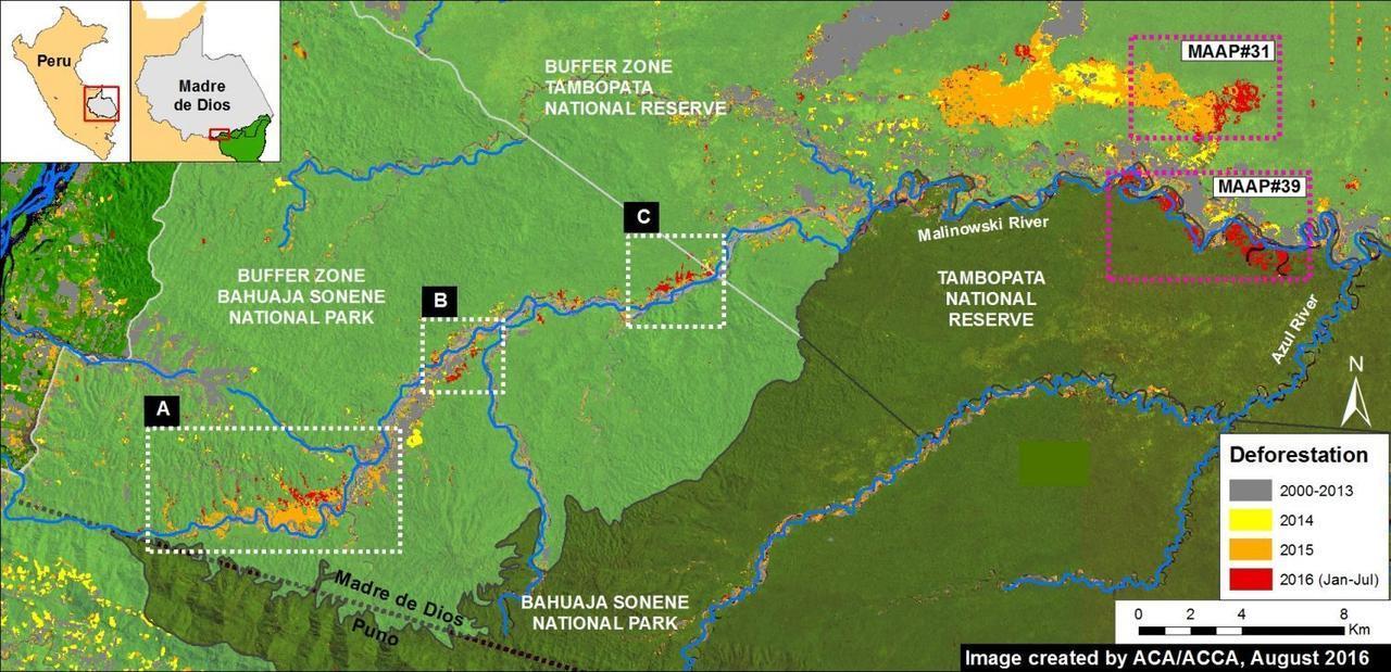 Imagen: Monitoring of the Andean Amazon Project
