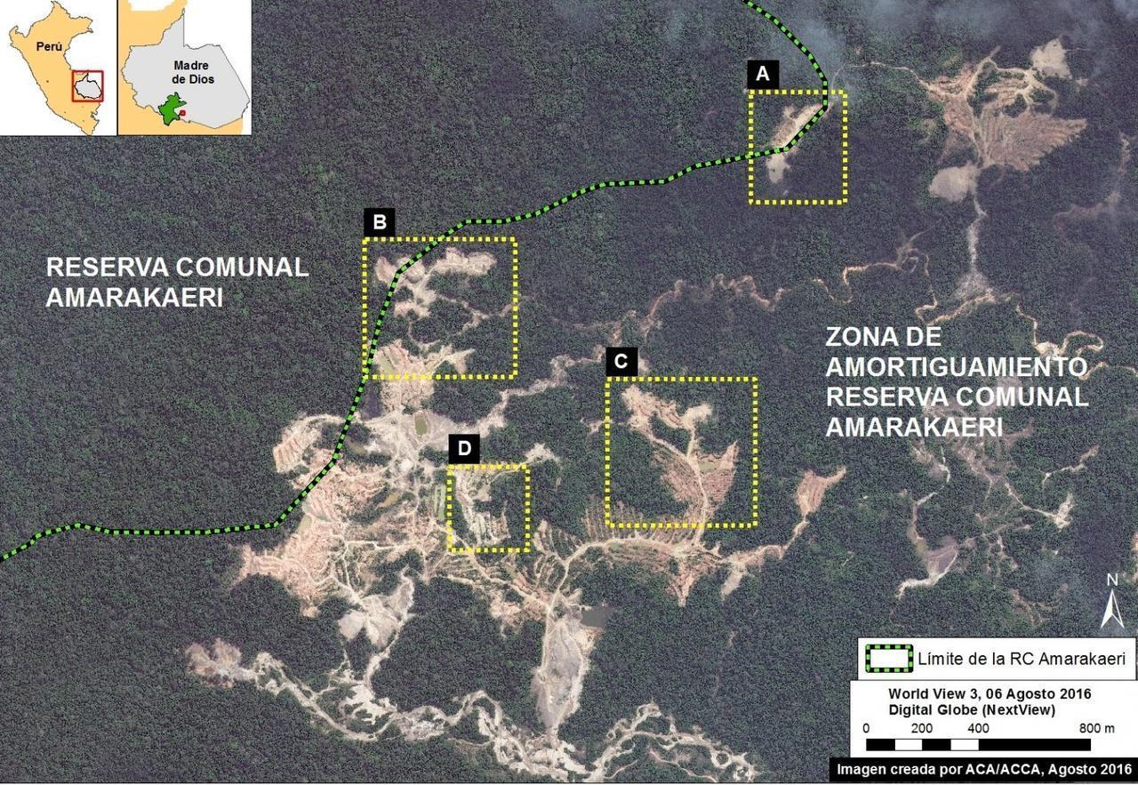 Imagen: Monitoring of the Andean Amazon Project