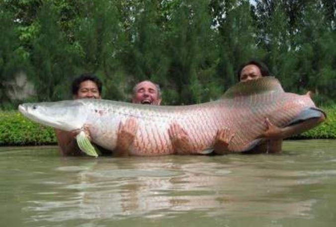 Foto: Angencia Andina