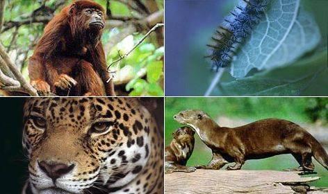 Imagen: cuscotravel.net