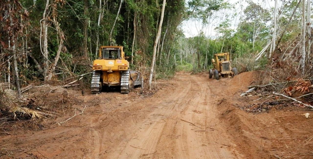 Foto: Gobierno Regional de Madre Dios