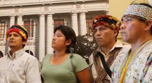 AIDESEP es una organización nacional, presidida por una Consejo Directivo Nacional que se asienta en nuevo organismos descentralizados ubicados en el norte, centro y sur del país.