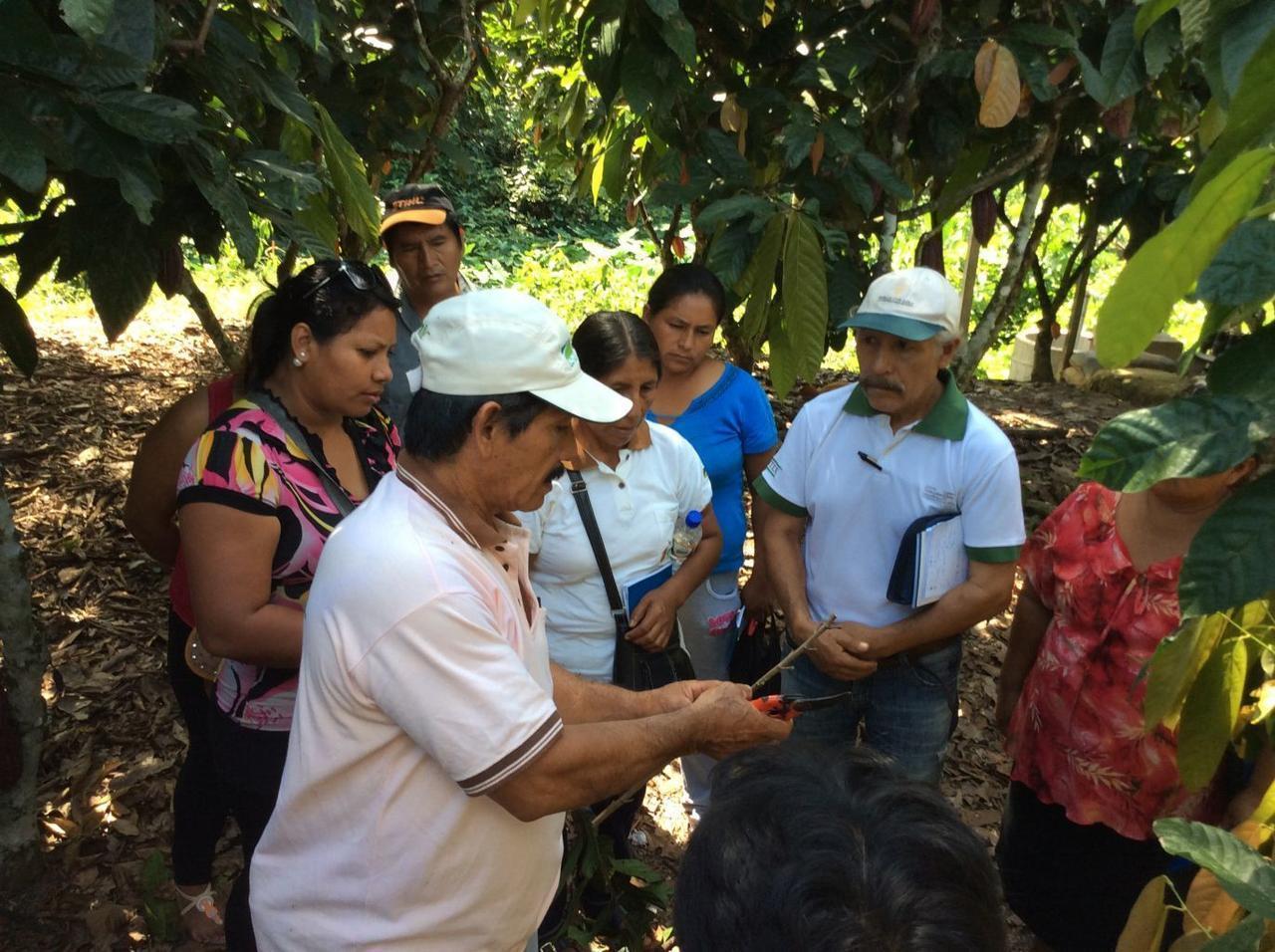 Comunidad nativa Arazaire necesita nuevas propuestas en el uso de recursos y cambio climático