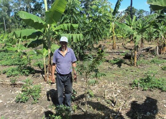 Imagen: Región Madre de Dios