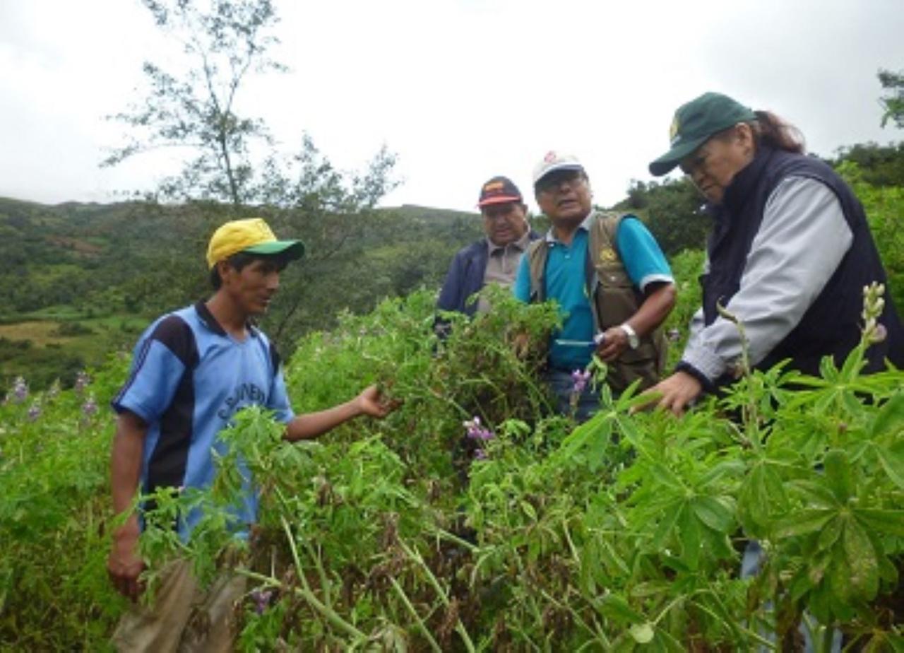 Foto: Agencias Andina