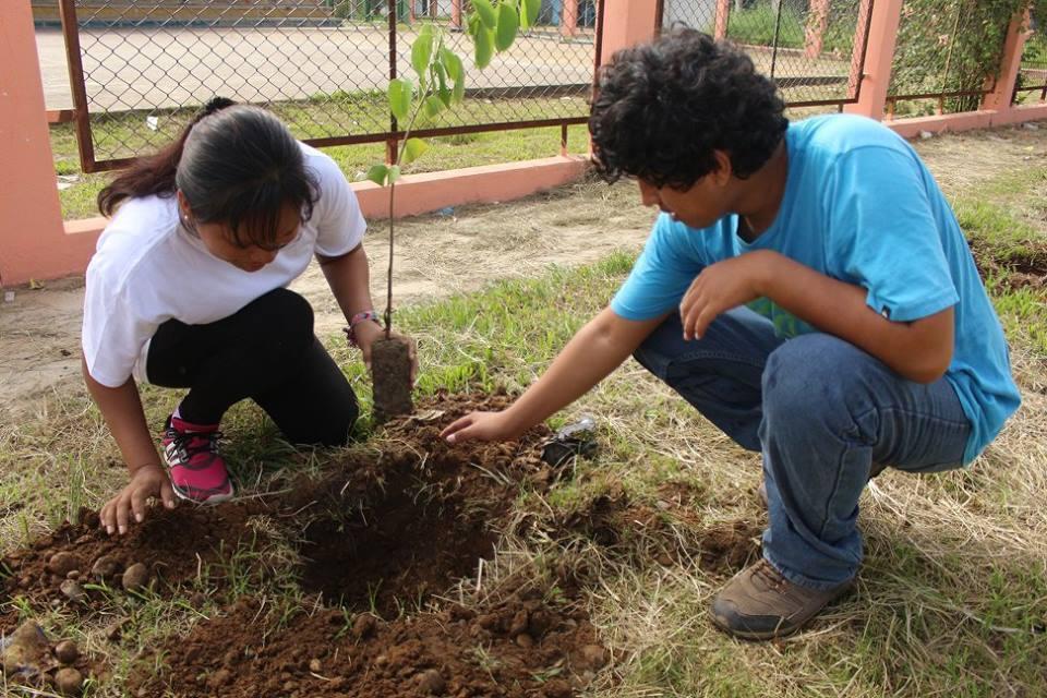 Foto: Universidad Nacional Amazónica de Madre de Dios