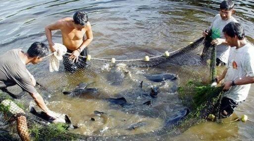 Foto: dorganizacionaluni.blogspot.pe
