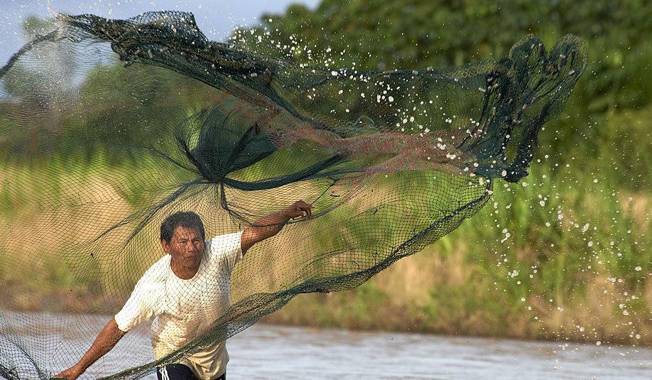 Imagen: Actualidad ambiental.