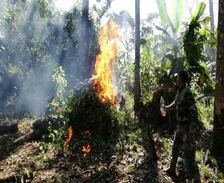 Foto: Región Policial Madre de Dios