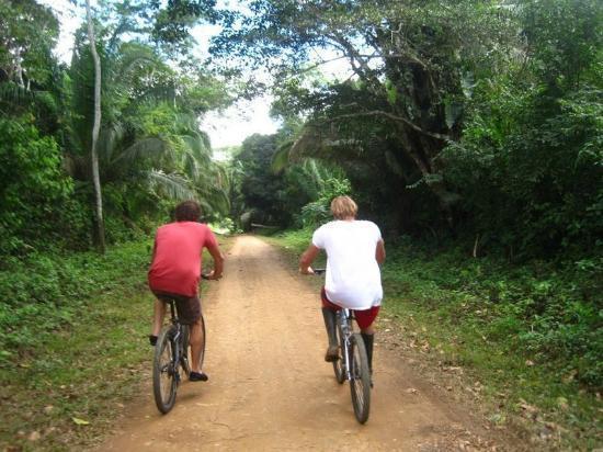 Foto: Tripadvisor