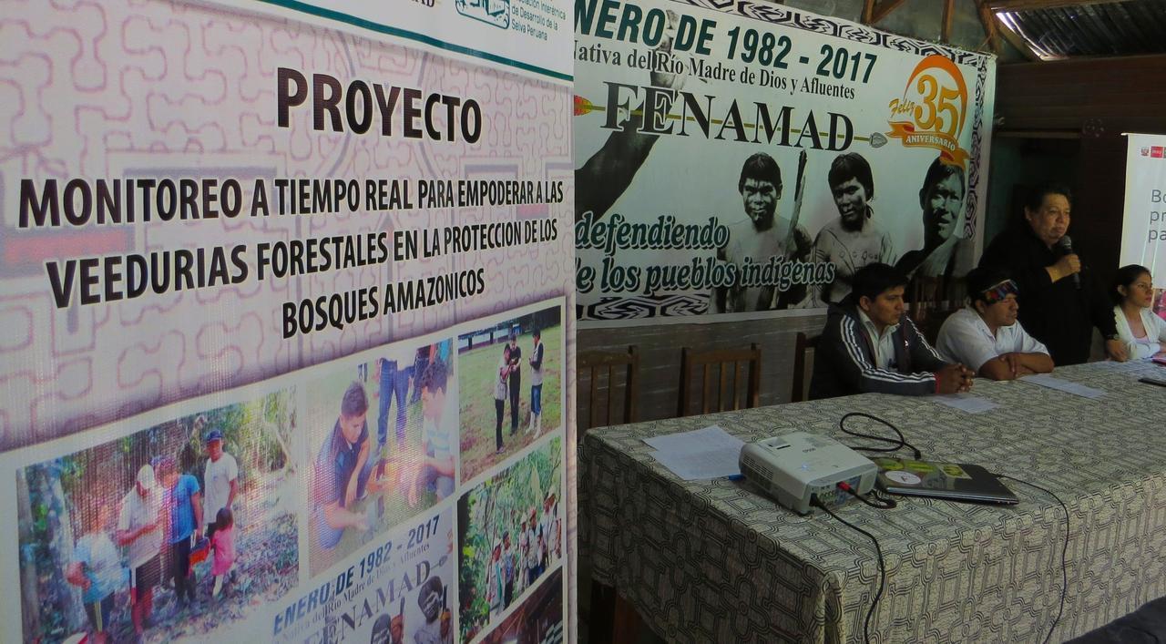 Fomentan planes de manejo forestal en comunidades nativas de Madre de Dios