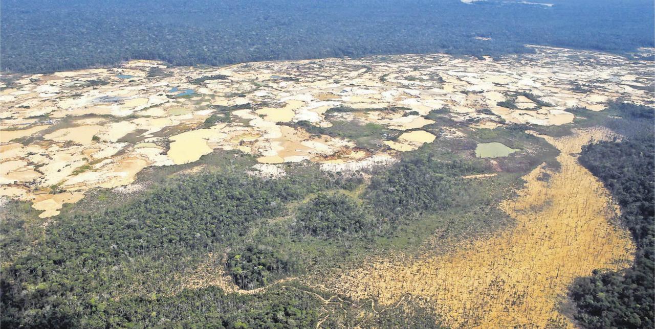 Deforestación en Madre de Dios sigue en aumento