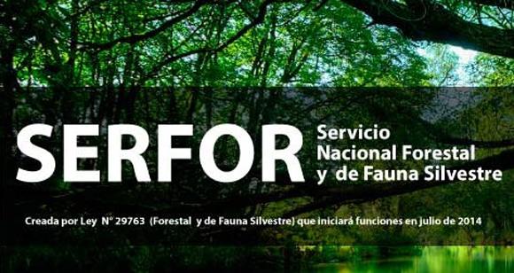 Imagen: Actualidad Ambiental