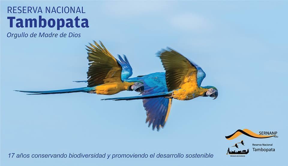Foto: Reserva Nacional de Tambopata