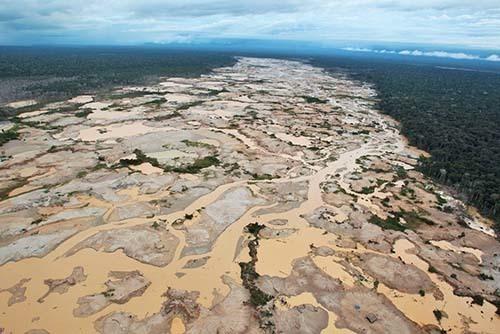 Más de 160 mil hectáreas de bosques húmedos amazónicos fueron deforestados en el 2016