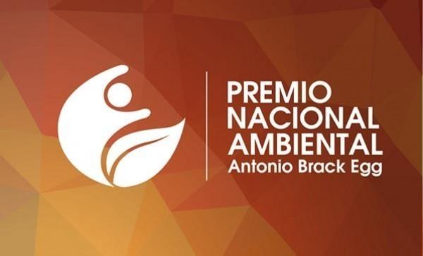 Foto: http://www.educaciontacna.edu.pe