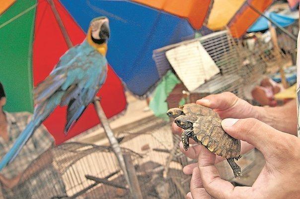 Foto referencial: Diario Correo