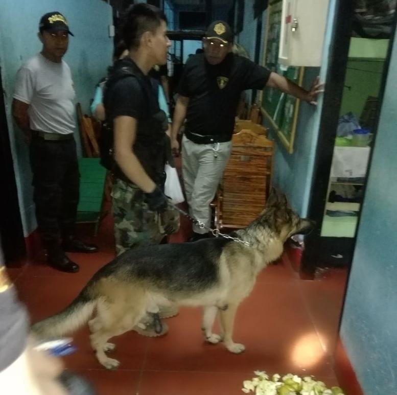 Encuentran marihuana y cocaína en penal de Puerto Maldonado