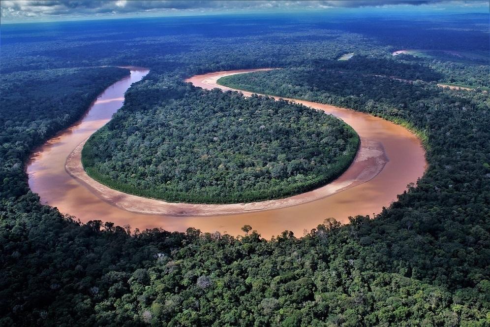 Imagen referencial. Foto: Programa Bosques
