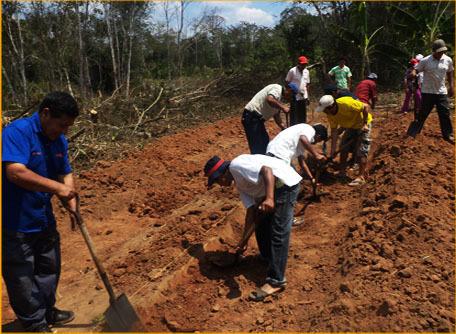 Imagen referencial: Dirección Regional de Agricultura de Madre de Dios.