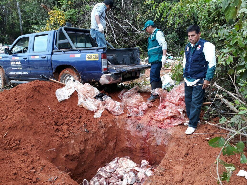 Lo decomisado fue destruido en el Botadero municipal de Planchón. Fuente: Senasa