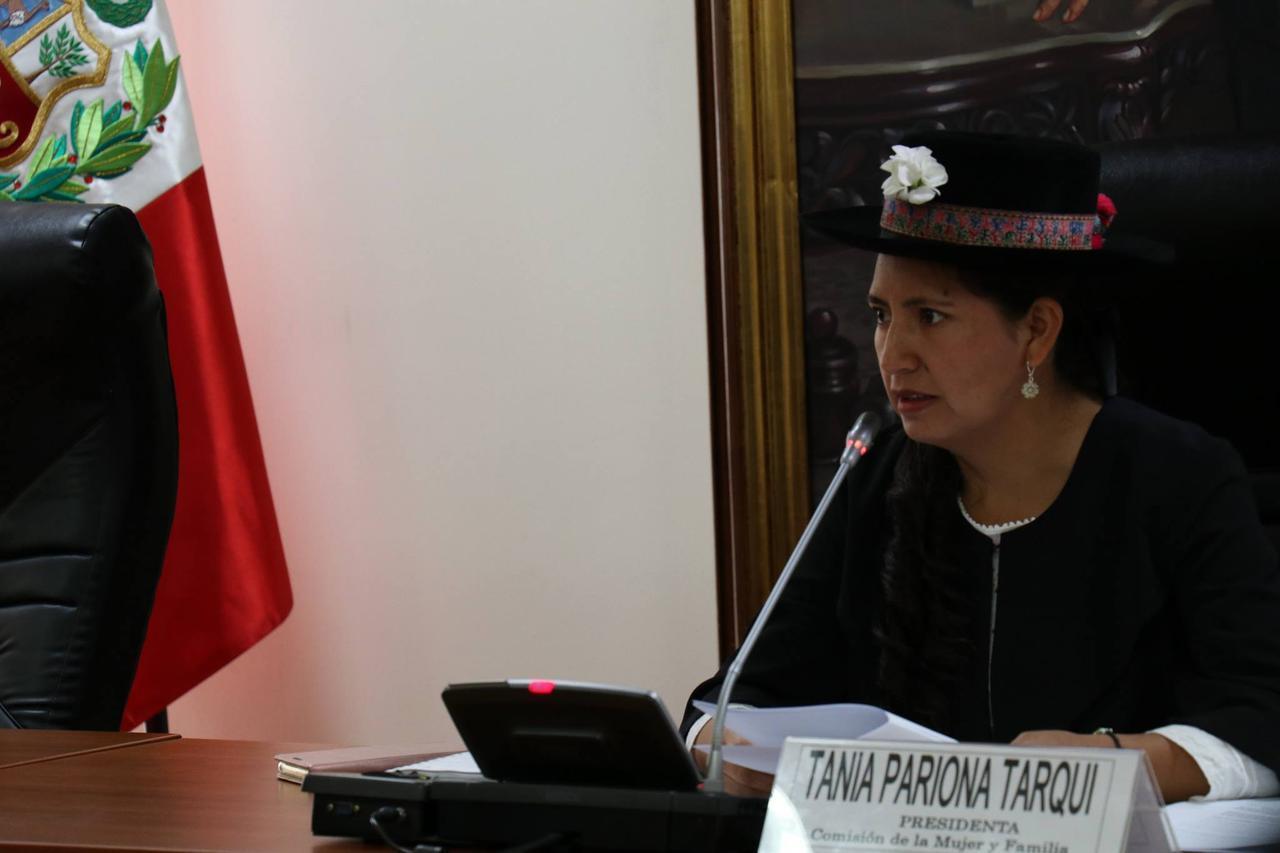 Tania Pariona presidiendo la III Sesión Ordinaria de la Comisión de Mujer y Familia. Fuente: Comisión de Mujer y Familia.