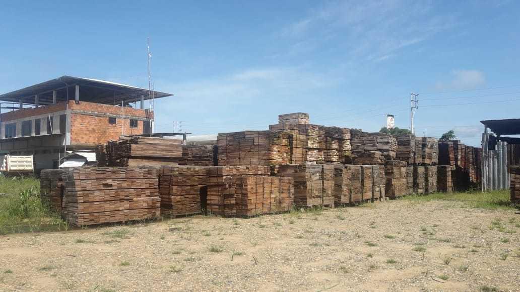 Puerto Maldonado: Inmovilizan madera valorizada en 3.5 millones de soles
