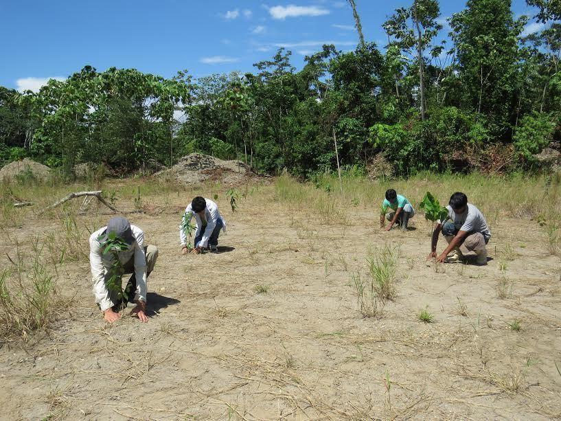 Foto referencial: Instituto de Investigación de la Amazonía Peruana