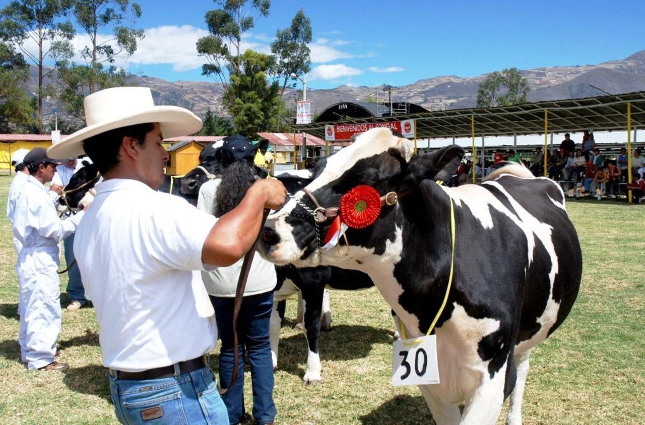 Madre de Dios: Inicia la primera feria ganadera con la exhibición de diversas especies