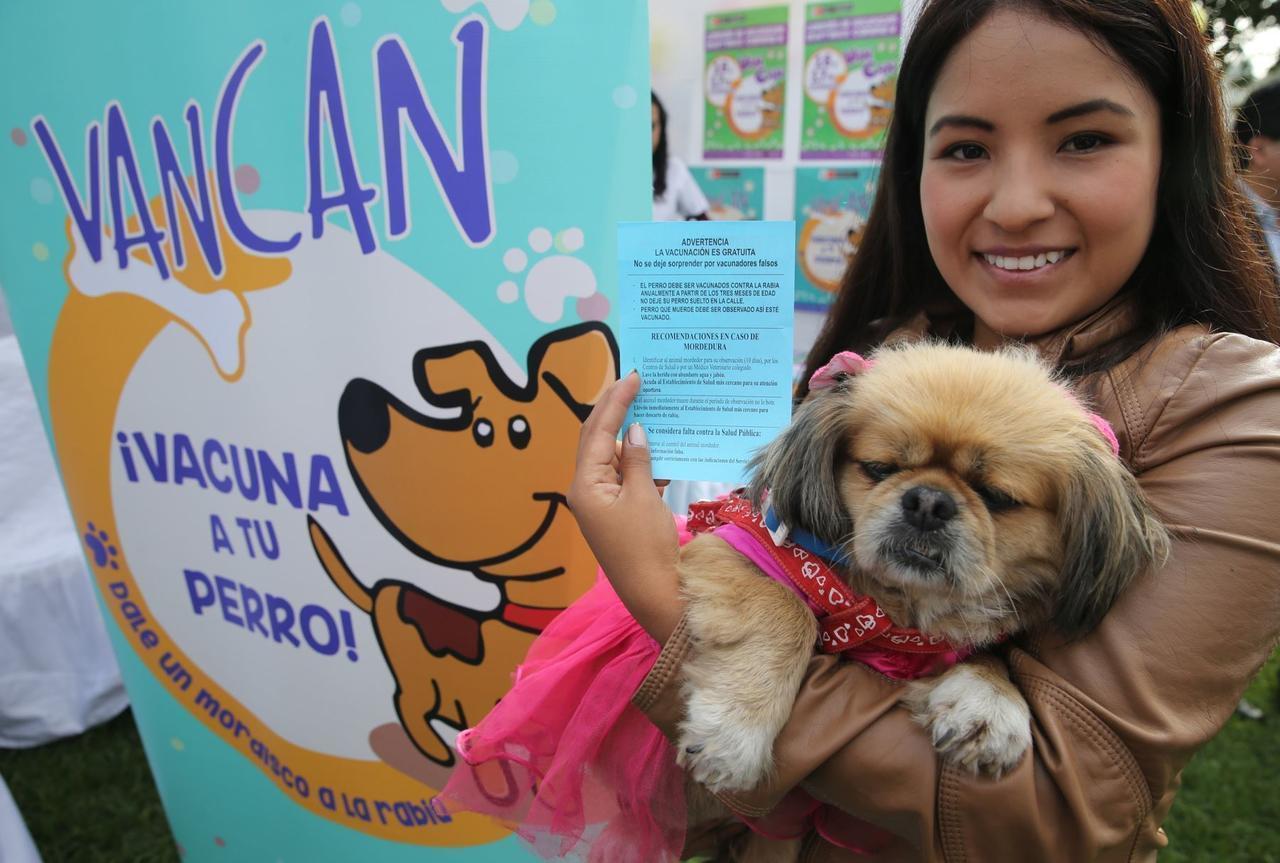 Diresa lanza jornada de vacunación antirrábica para canes