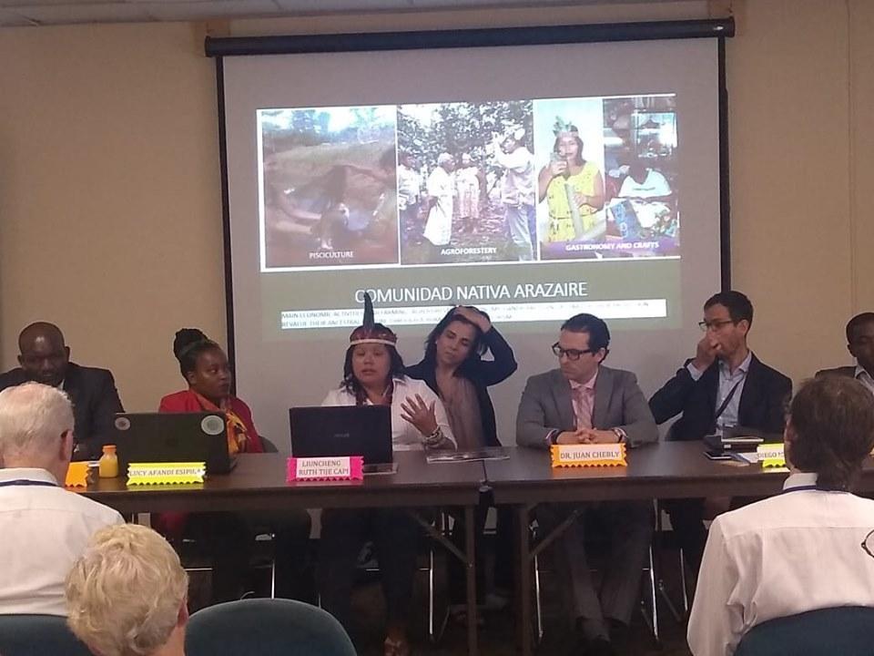 Inambari: Representante de comunidad nativa Arazaire expone sobre actividades sostenibles en Foro de las Naciones Unidas