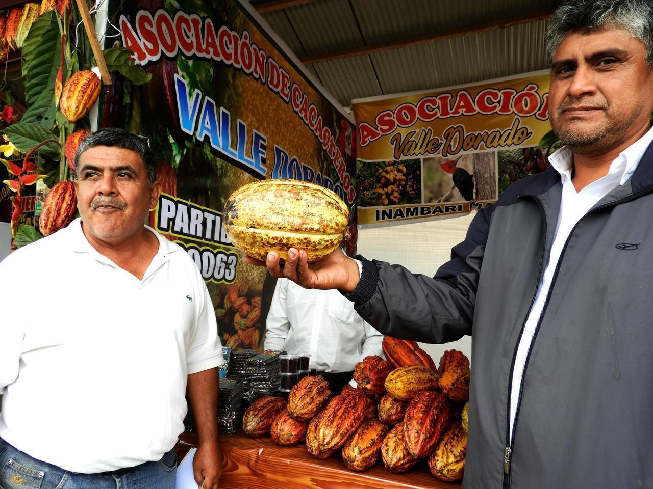 Cáritas participa en actividades de "IV Festival del Cacao"