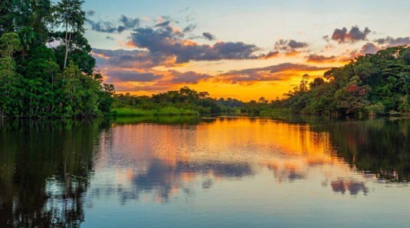 REPAM propone 40 días de oración y reflexión hacía el Sínodo para la Amazonía