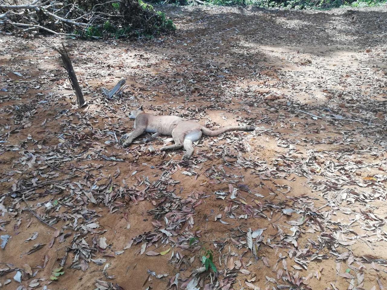 Foto: Difusión.