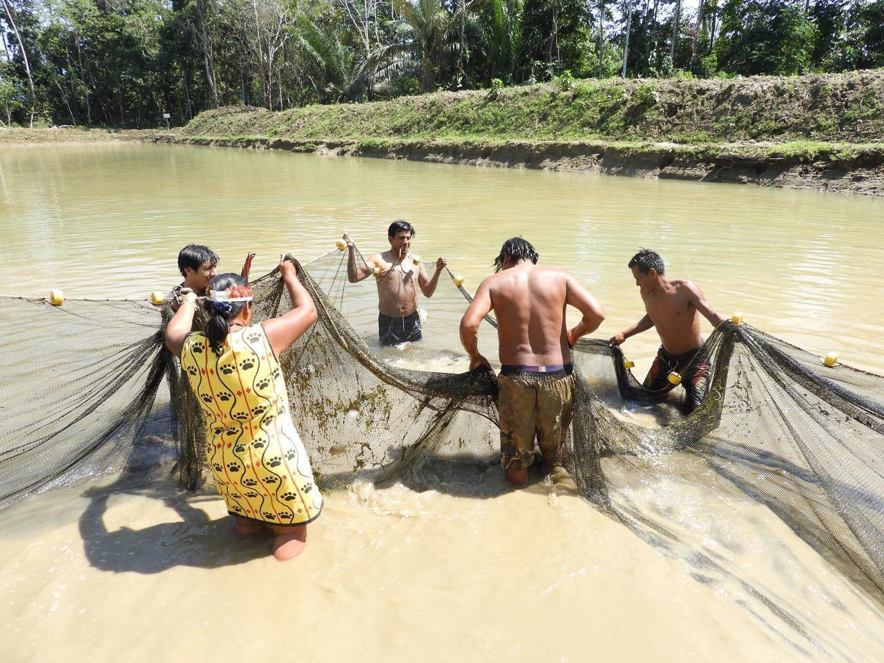 Proyecto benefició a veinte familias de la comunidad nativa. Foto: Caritas Madre de Dios.