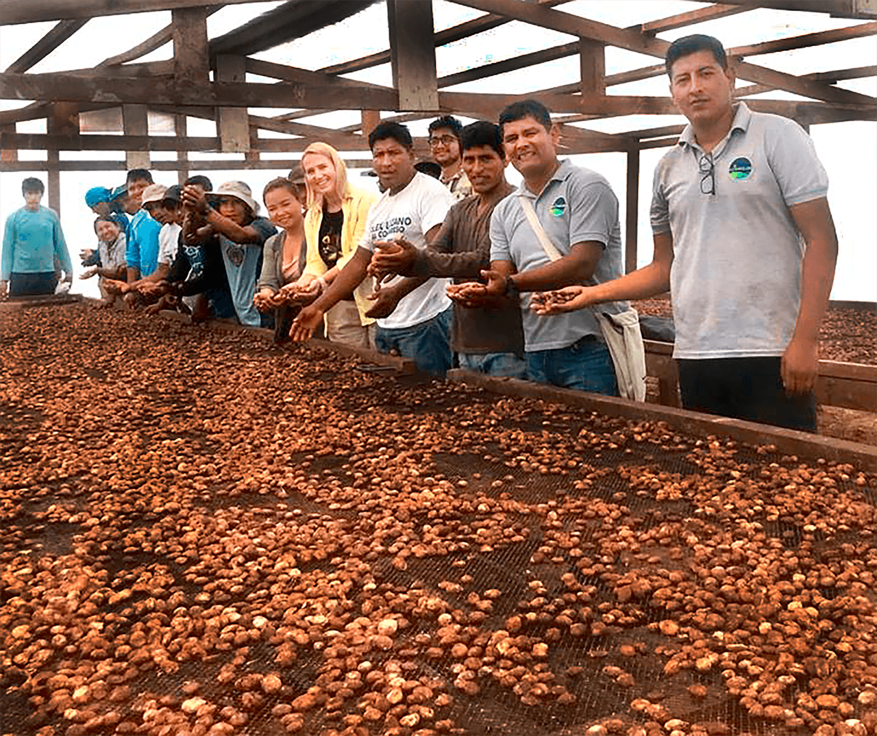 Exportarán a Rusia 15 toneladas de granos de copoazú de Madre de Dios