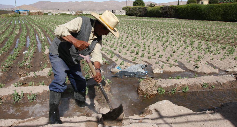 Minagri destina S/ 600 millones en financiamiento directo al pequeño productor