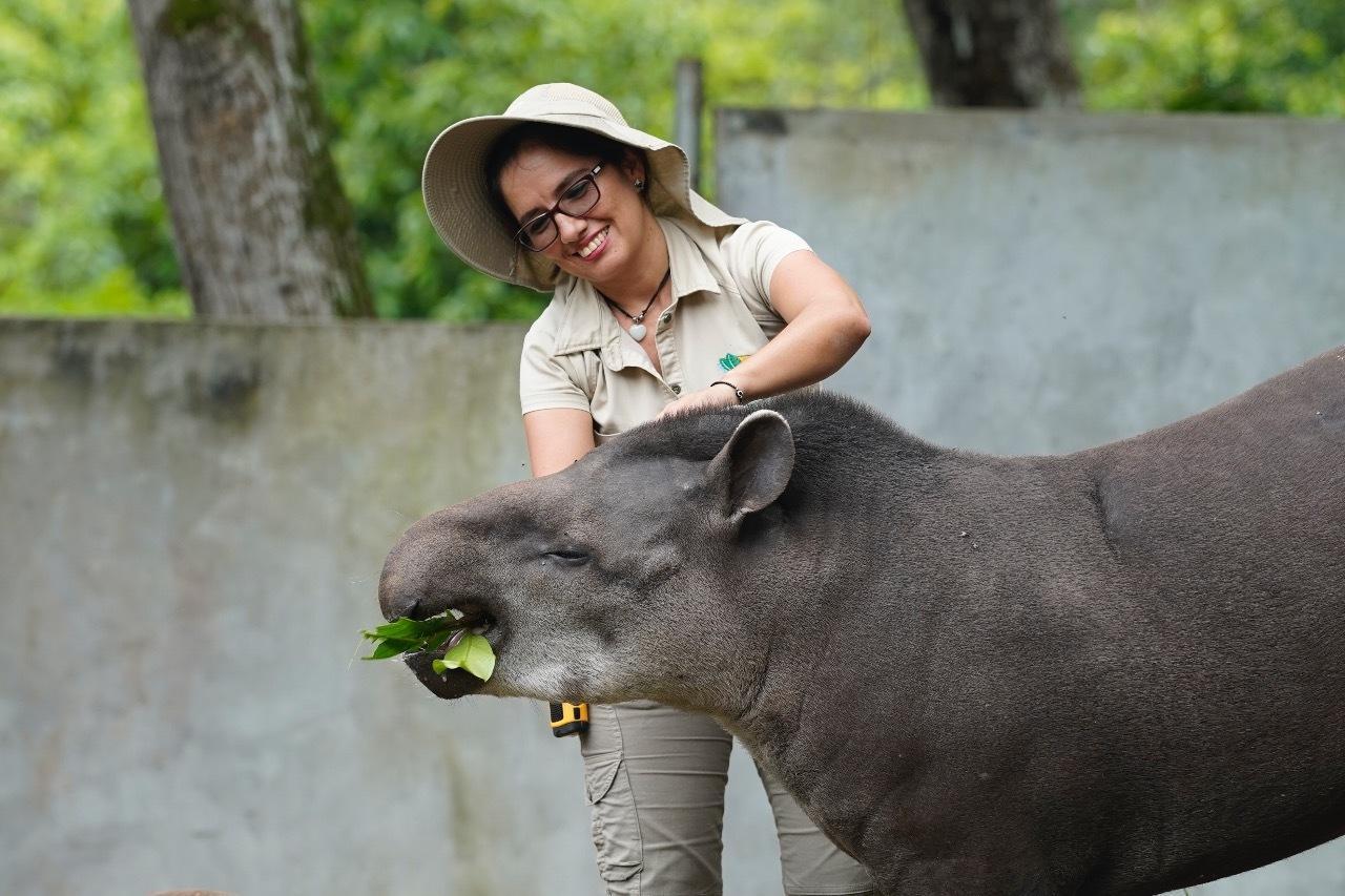Destinan S/ 3.9 millones para atender 143 centros de cría de animales silvestres a nivel nacional