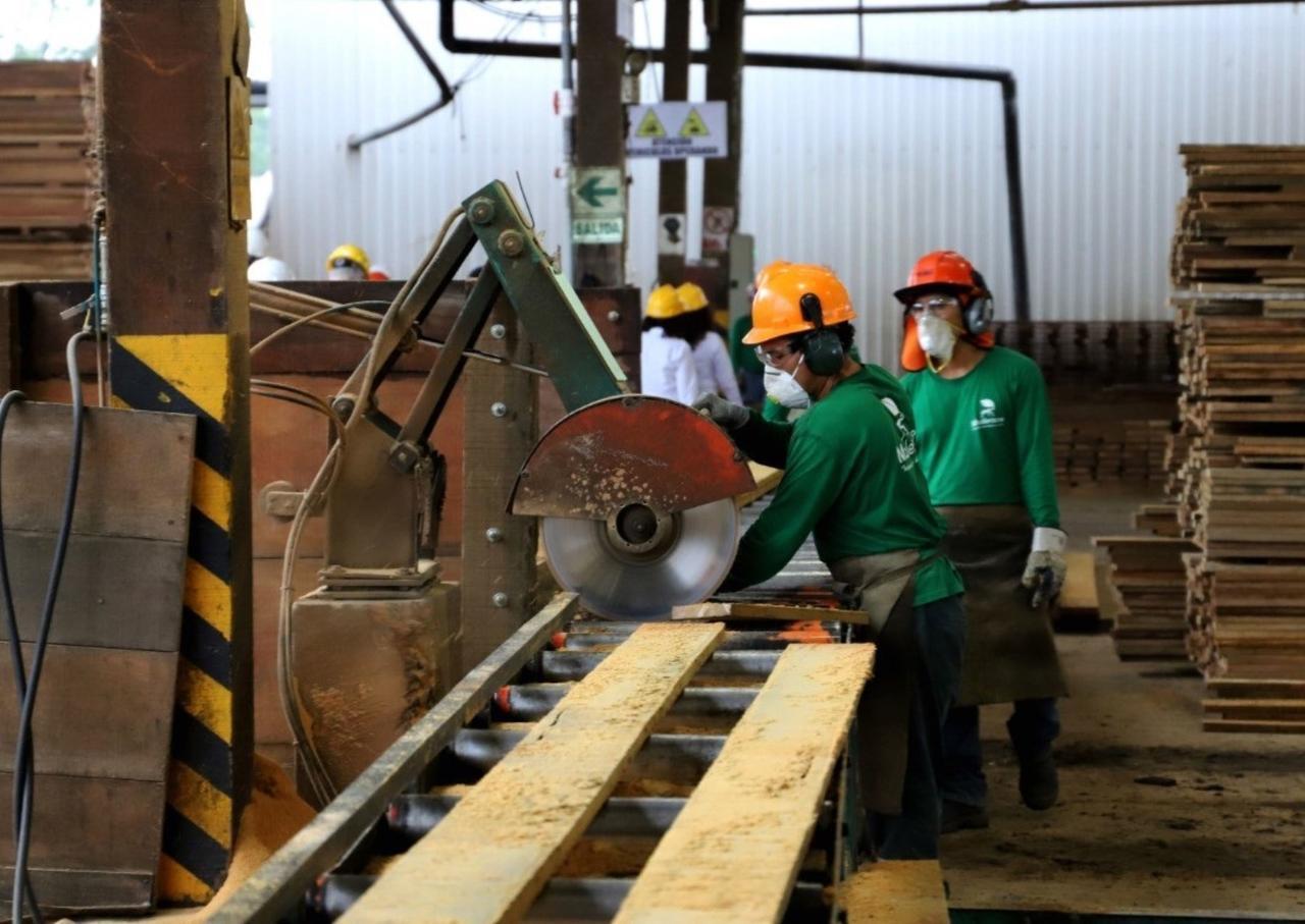 Un total de 284 empresas forestales ya están listas para reiniciar sus actividades en el marco del proceso de reactivación económica, afirmó el Serfor. ANDINA/Difusión