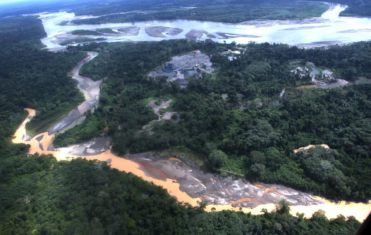 Día de los Bosques Tropicales: unen esfuerzos para monitorear los bosques de Madre de Dios