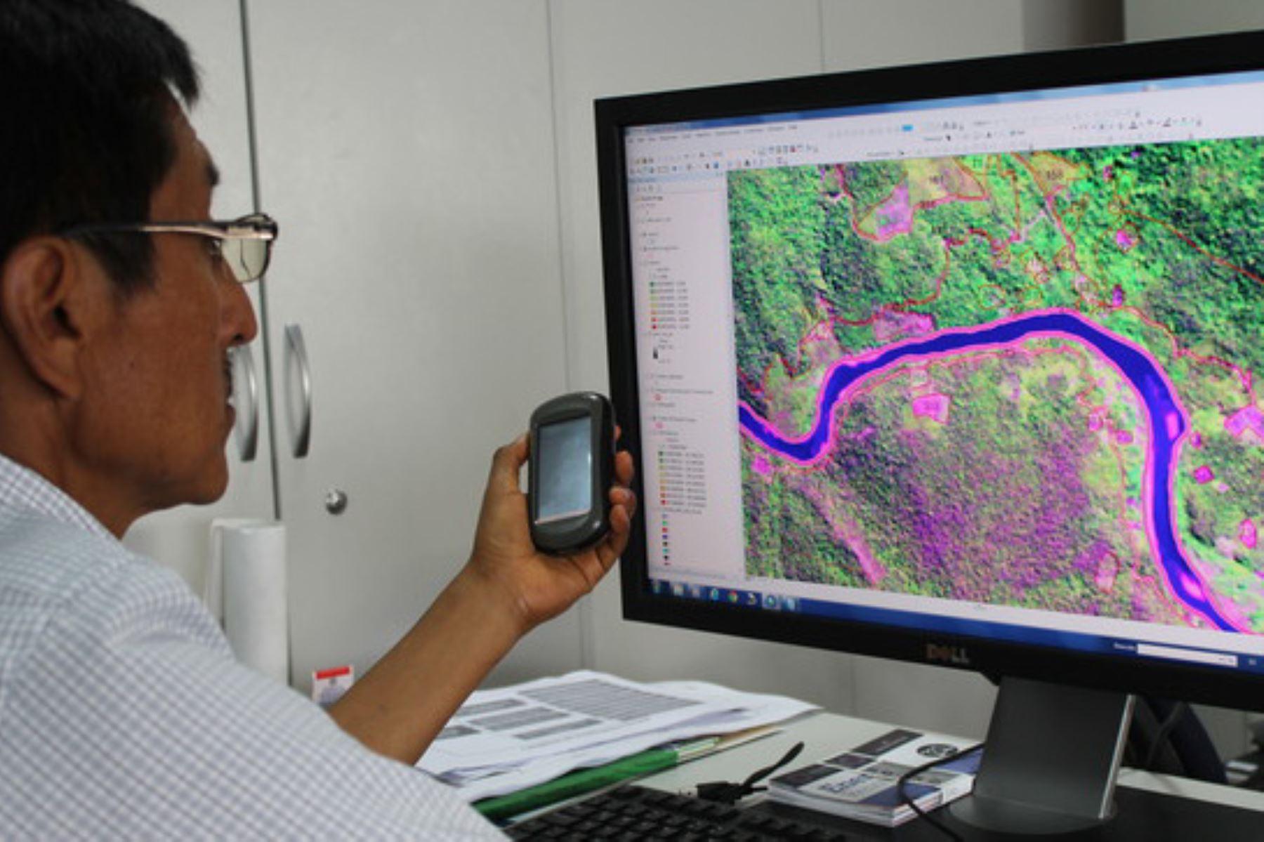 Deforestación en la Amazonía se redujo en más de 28 % durante cuarentena