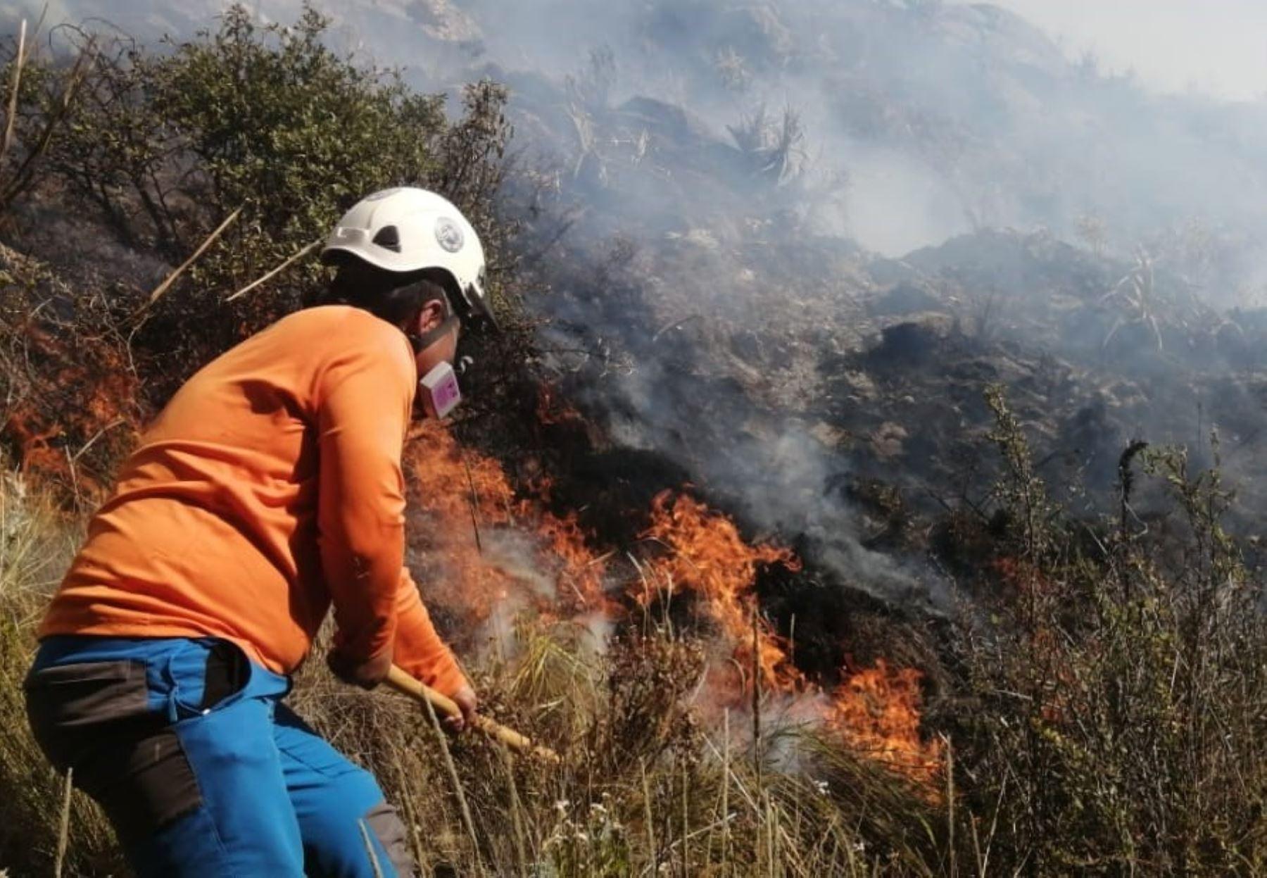 Minam diseña herramienta para contribuir a prevenir incendios forestales