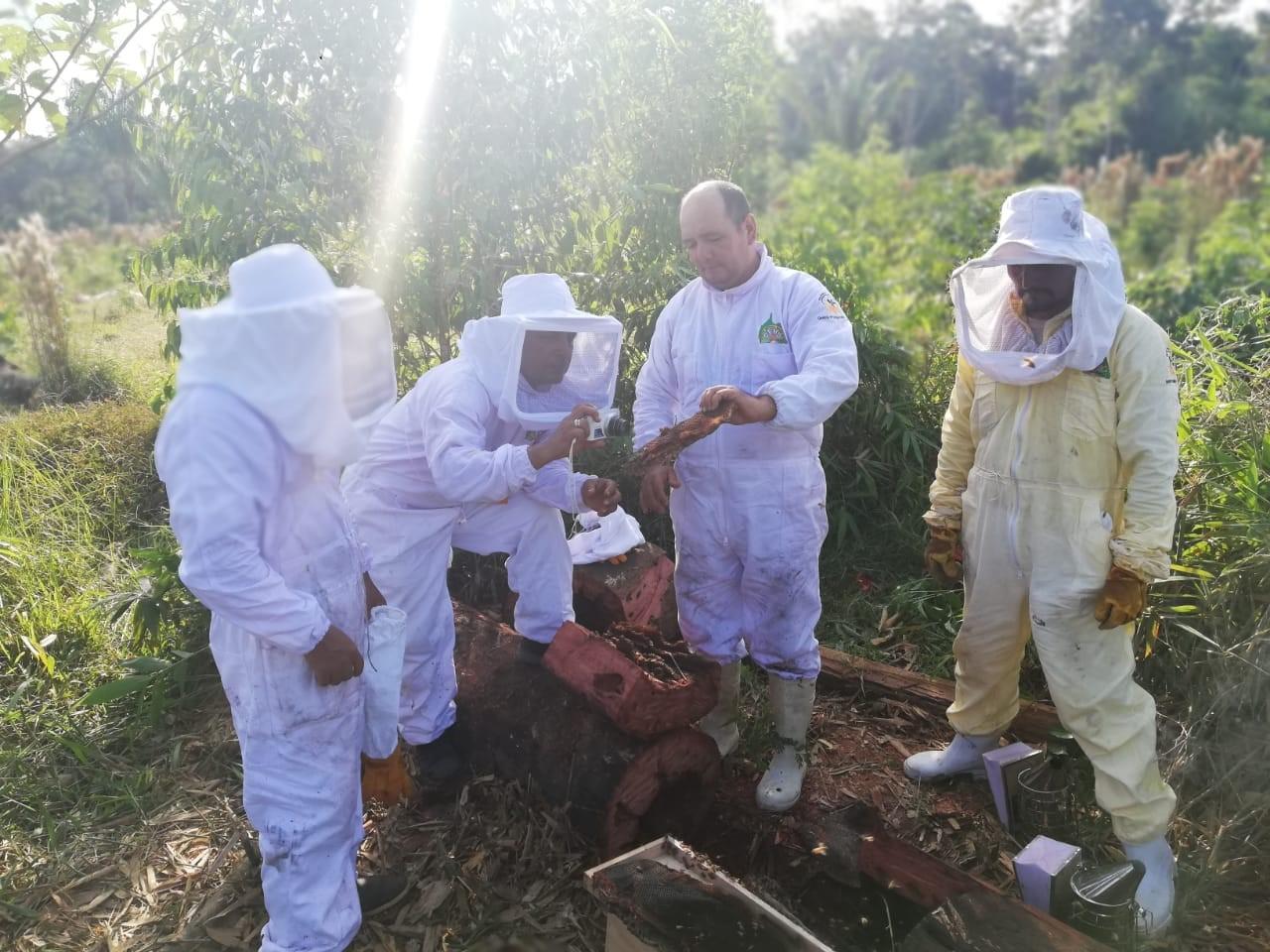 Madre de Dios avanza con la ejecución del proyecto apícola en Tambopata