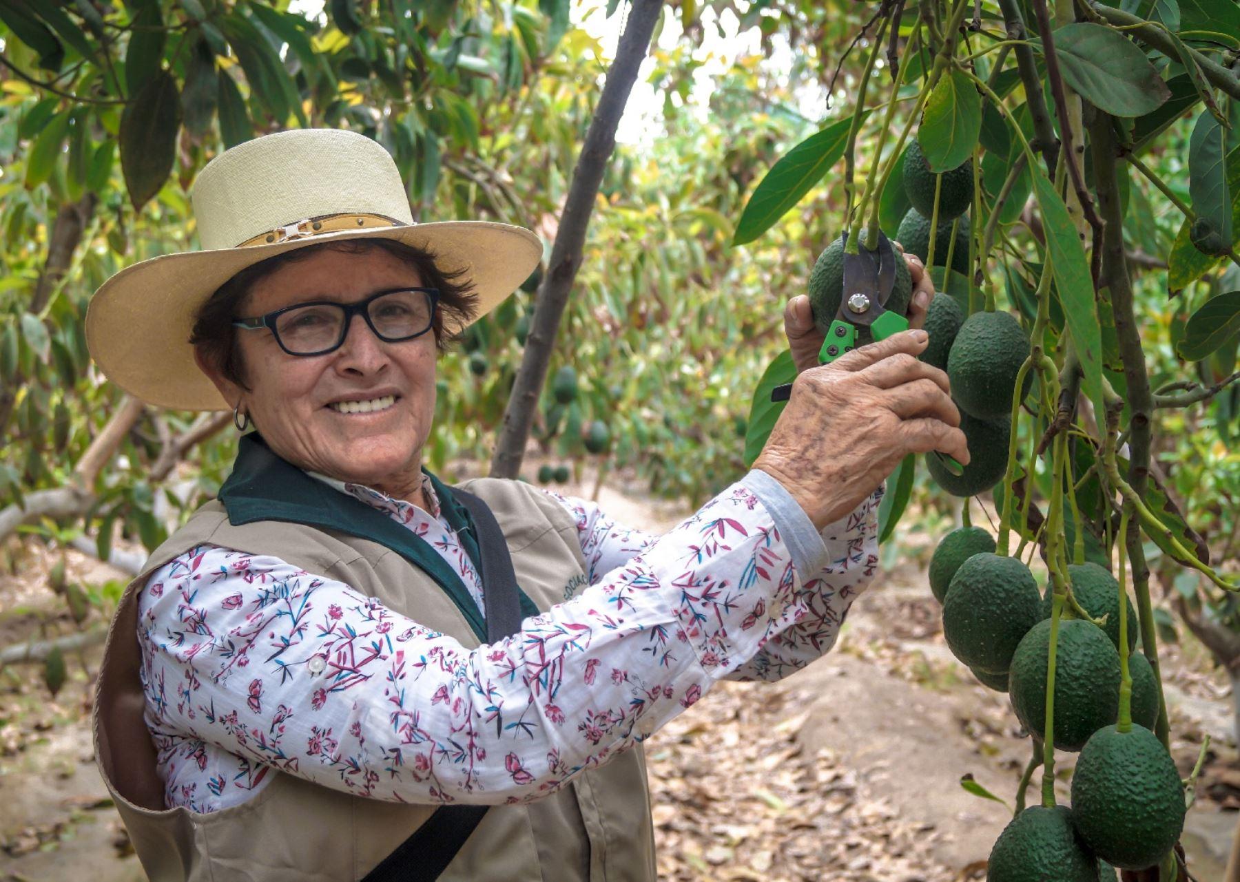 Productores agrarios del sur concretan negocios por S/ 2.3 millones en Rueda de Negocios